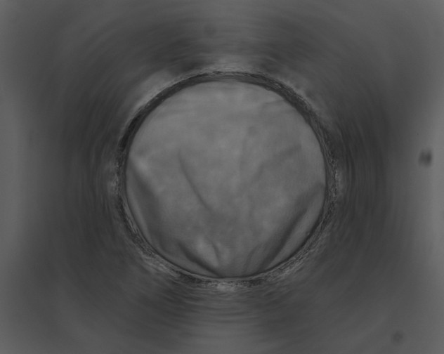 X0000095551266200801041323