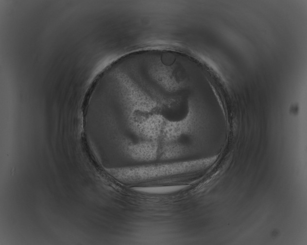 X0000095551267200801041323