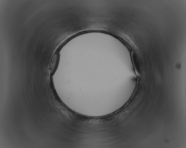 X0000095551268200801041323