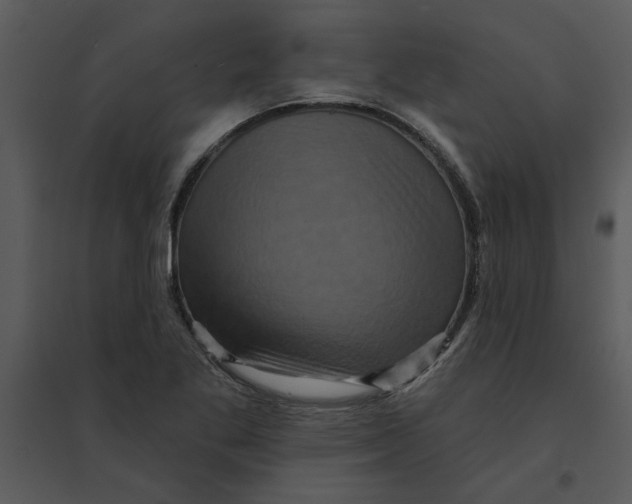 X0000095551269200801041323