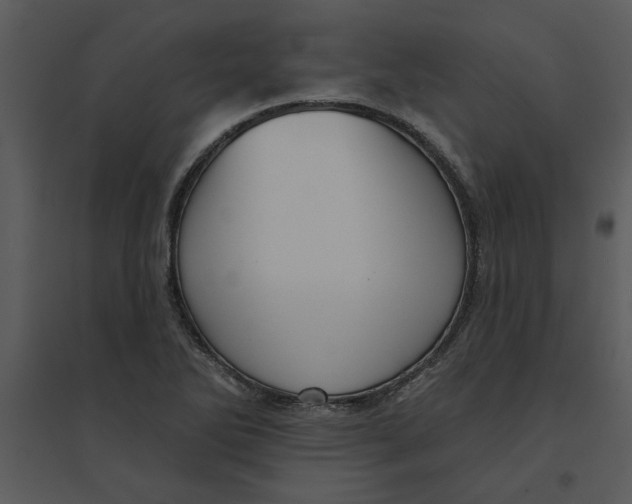 X0000095551270200801041323