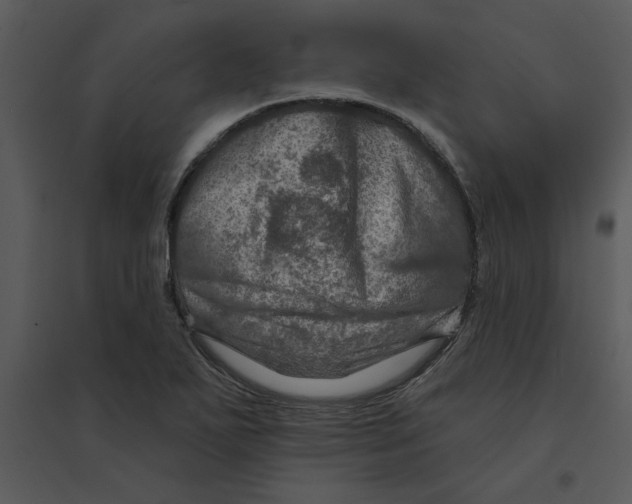 X0000095551271200801041323