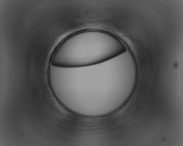 X0000095551272200801041323