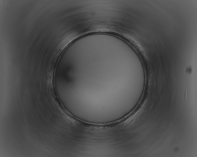 X0000095551273200801041323