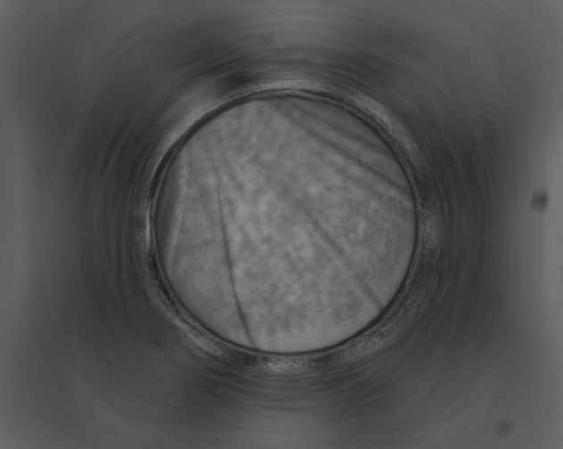 X0000095551274200801041323