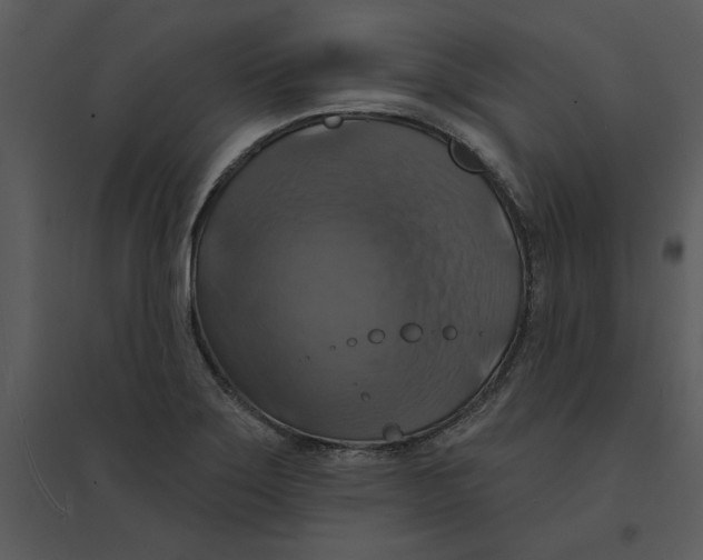 X0000095551275200801041323