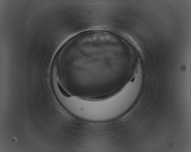 X0000095551276200801041323