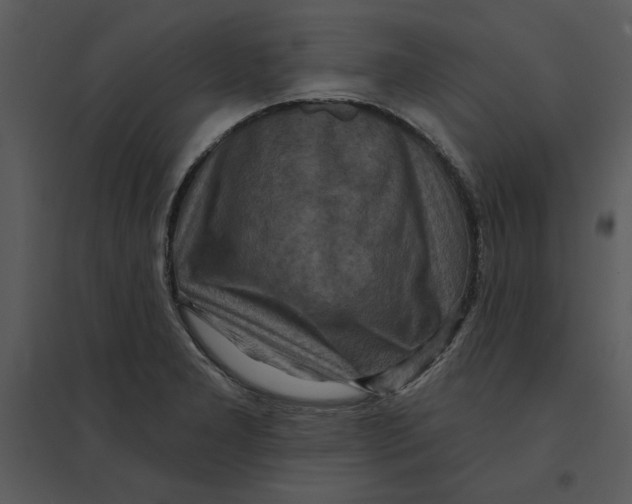 X0000095551277200801041323