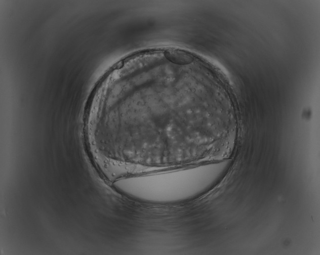 X0000095551279200801041323