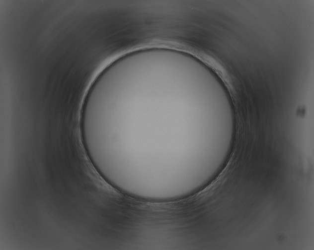 X0000095551280200801041323