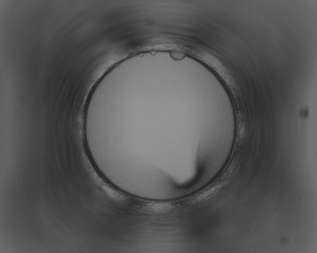 X0000095551282200801041323