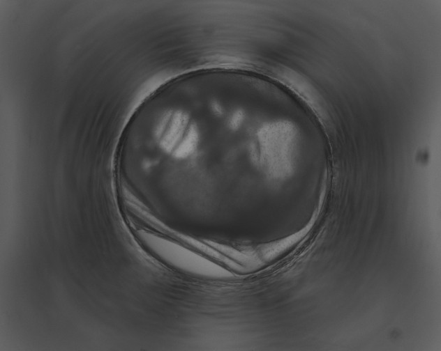 X0000095551283200801041323