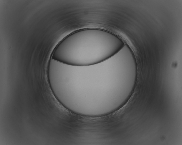 X0000095551284200801041323