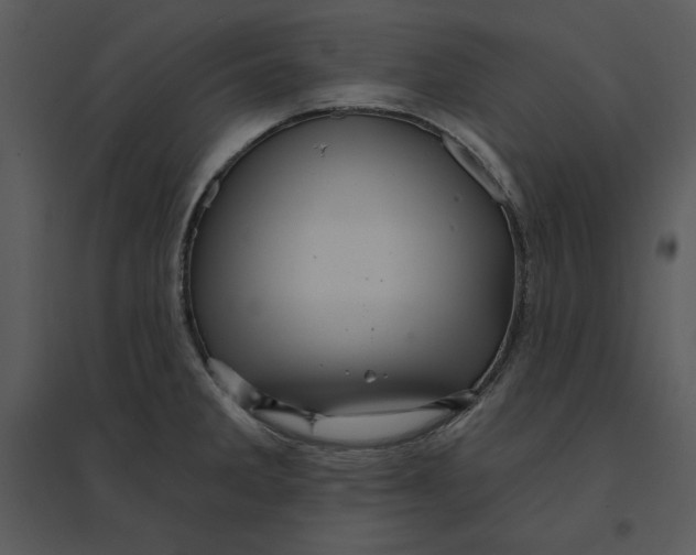 X0000095551285200801041323