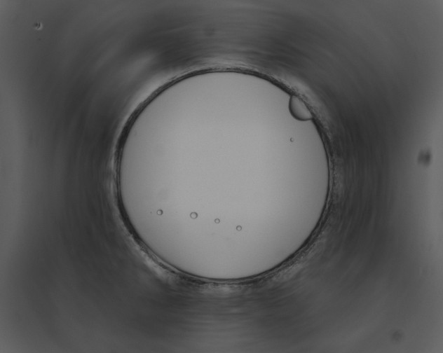 X0000095551286200801041323