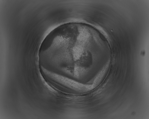 X0000095551287200801041323