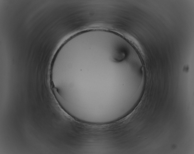 X0000095551288200801041323