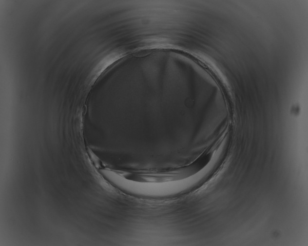 X0000095551289200801041323