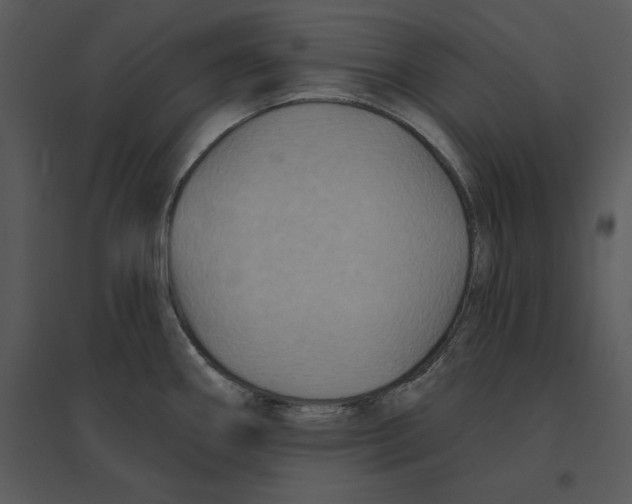 X0000095551290200801041323