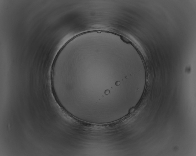 X0000095551291200801041323