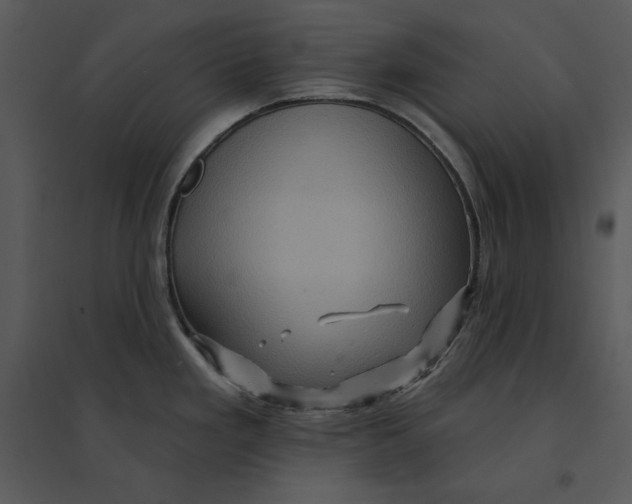 X0000095551293200801041323