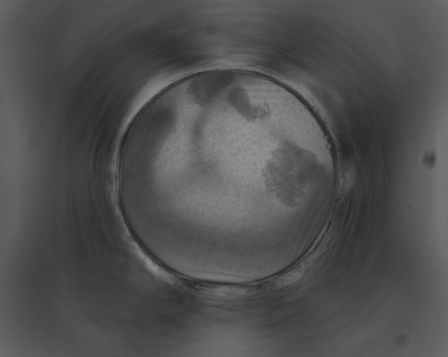 X0000095551294200801041323