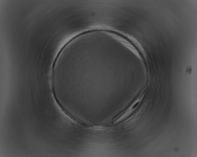 X0000095551295200801041323