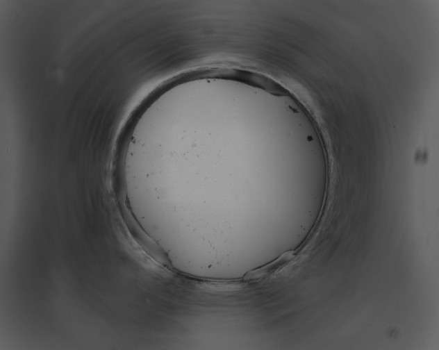 X0000095551296200801041323