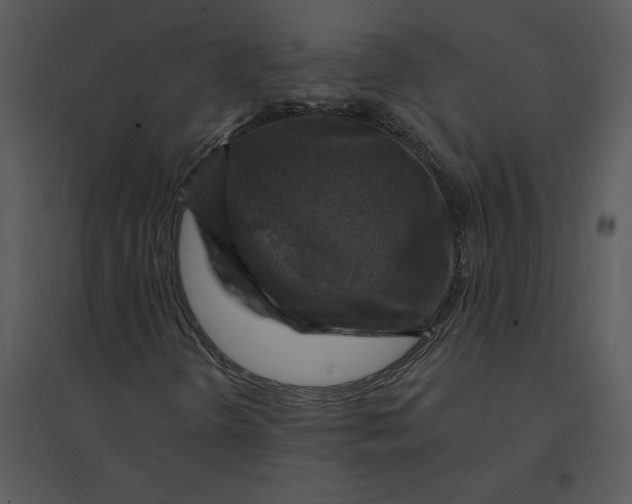 X0000095551298200801041322