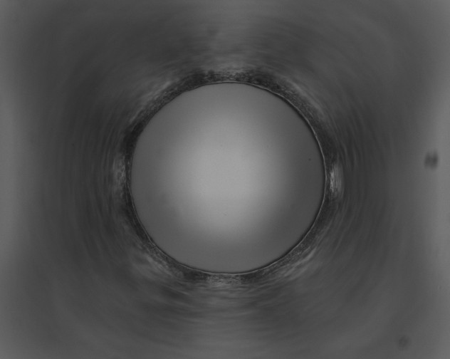 X0000095551299200801041322