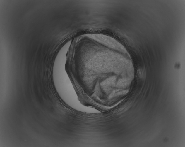 X0000095551300200801041322