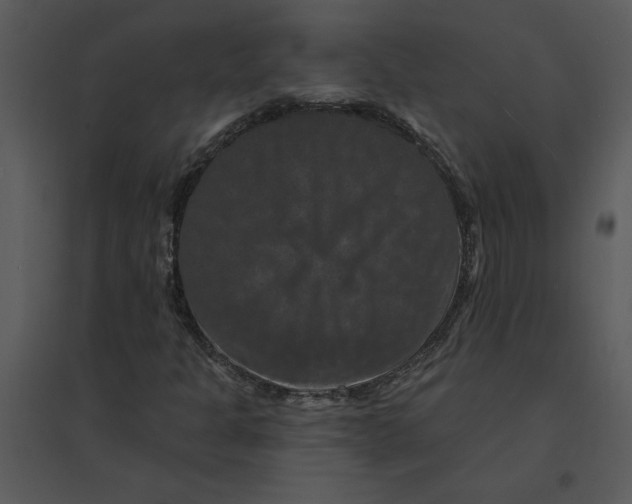 X0000095551301200801041322