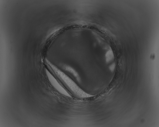 X0000095551302200801041322