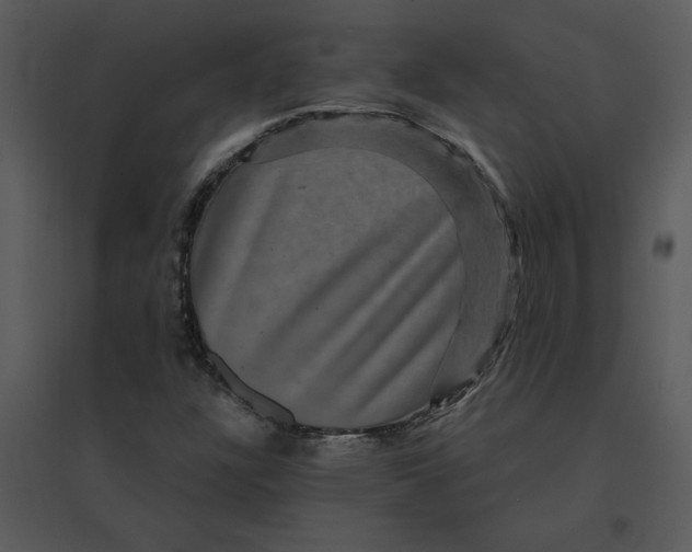 X0000095551304200801041322