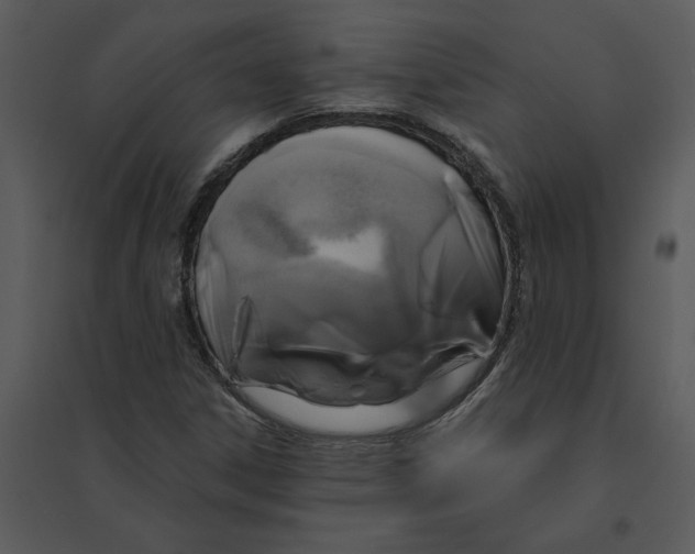 X0000095551306200801041322