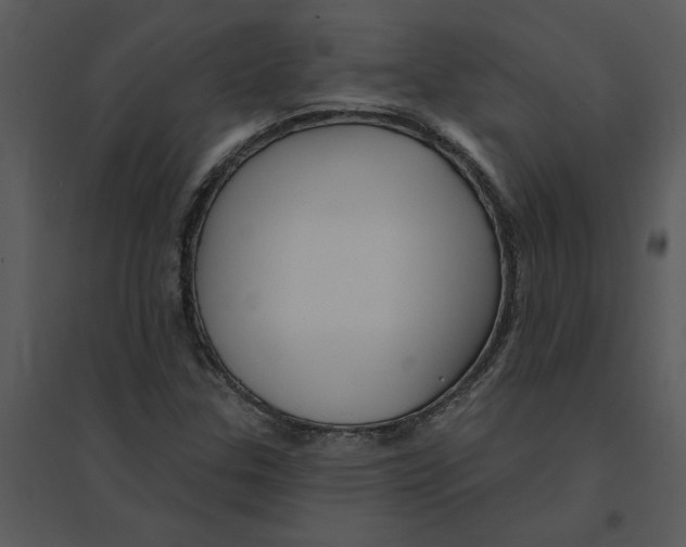 X0000095551307200801041322