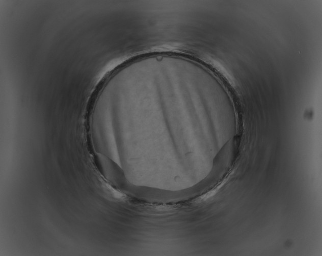 X0000095551308200801041322