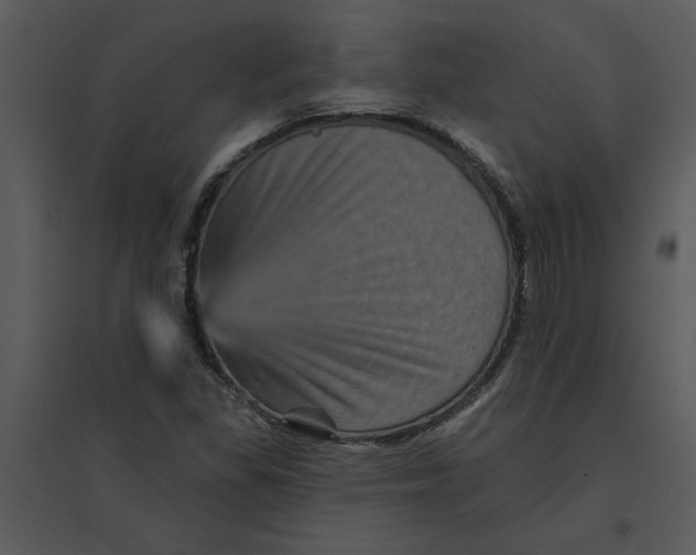 X0000095551309200801041322