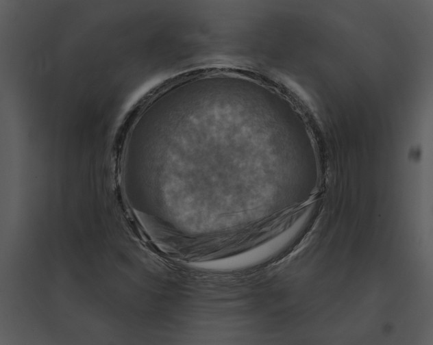 X0000095551310200801041322