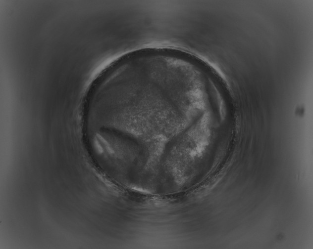 X0000095551311200801041322