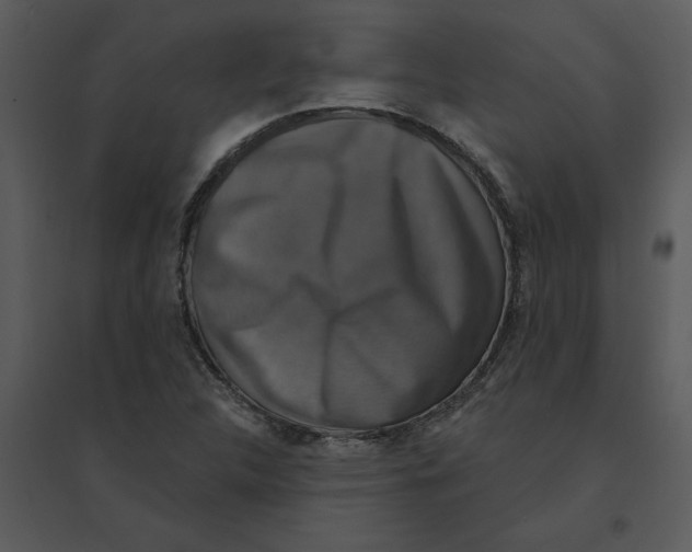 X0000095551312200801041322