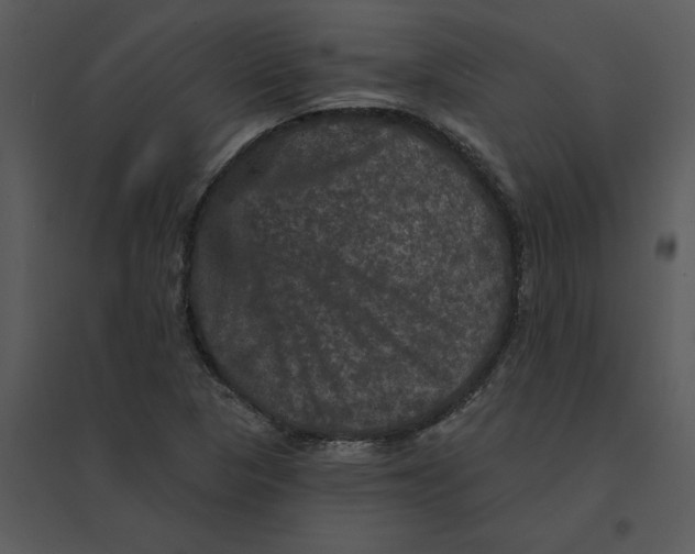 X0000095551313200801041322