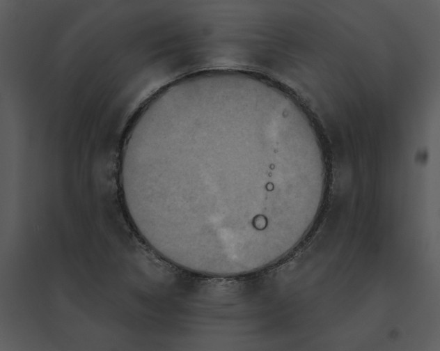 X0000095551314200801041322