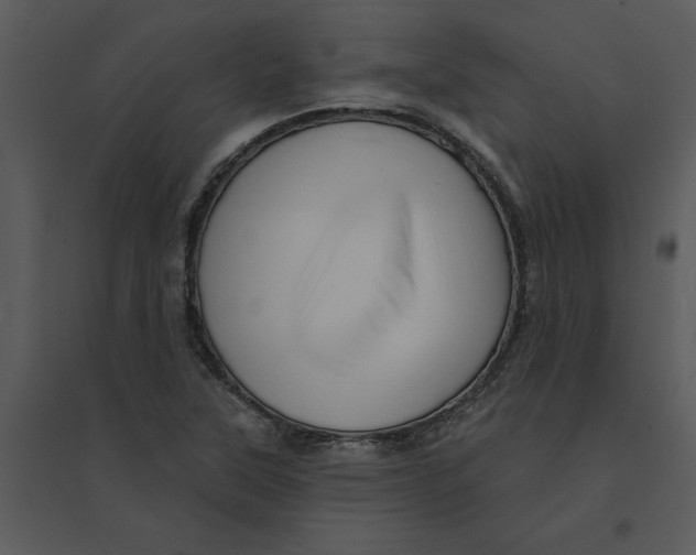 X0000095551315200801041322