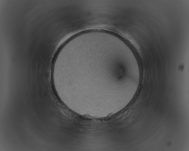 X0000095551316200801041322