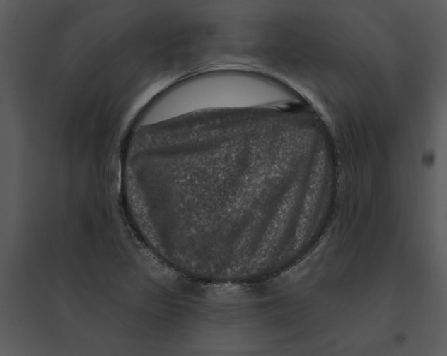 X0000095551317200801041322