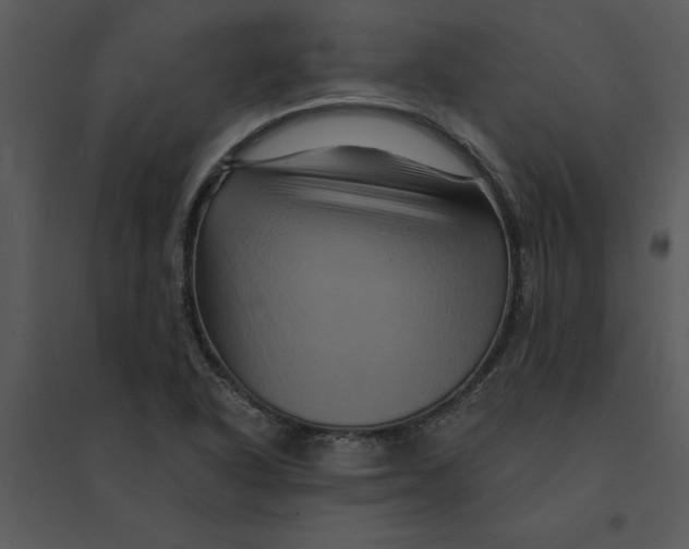 X0000095551318200801041322