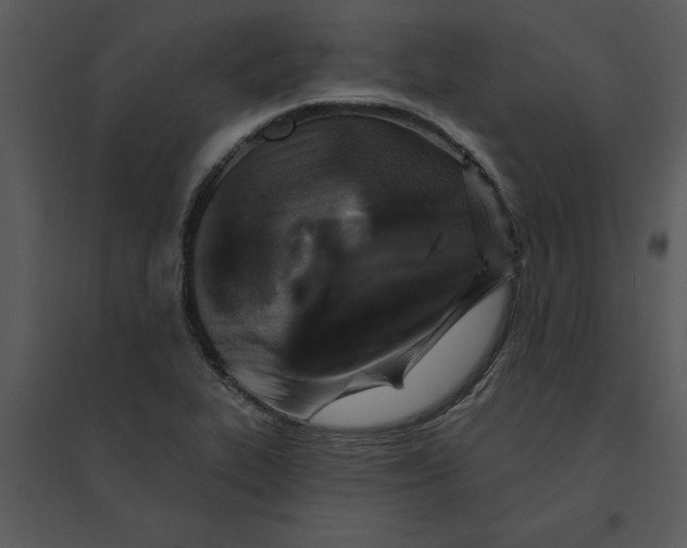 X0000095551319200801041322