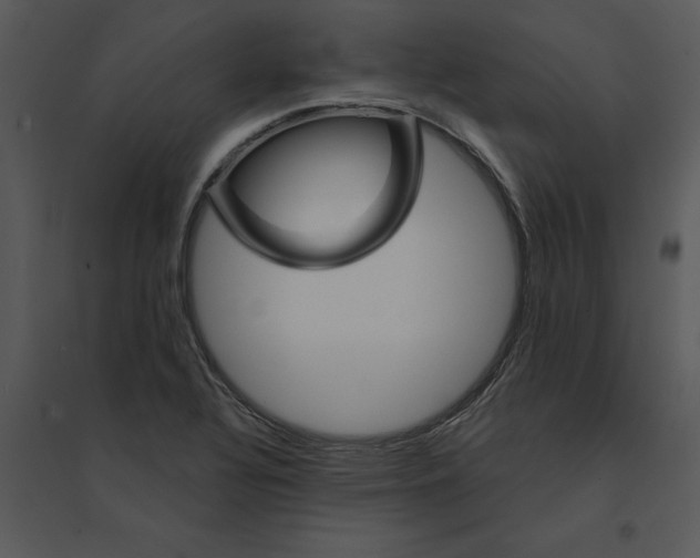 X0000095551320200801041322