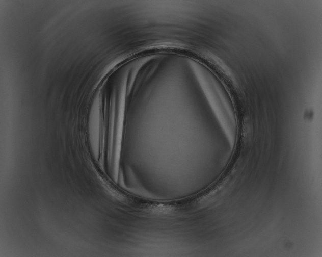 X0000095551321200801041322